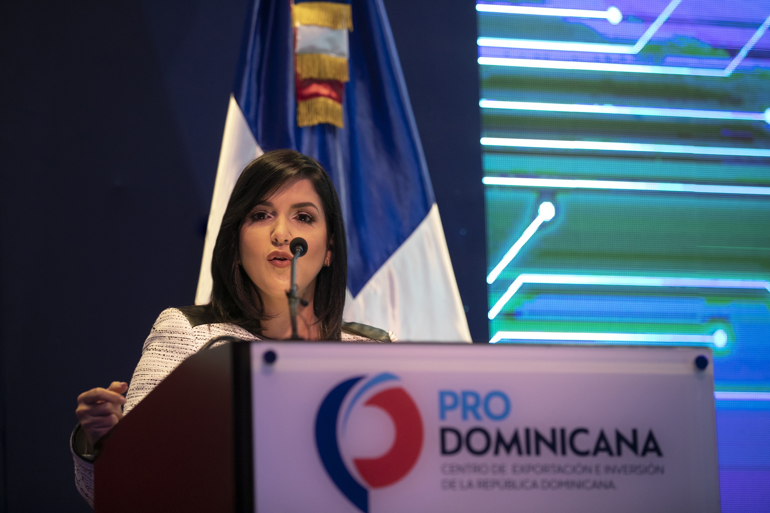 Biviana Riveiro Disla Directora Ejecutiva