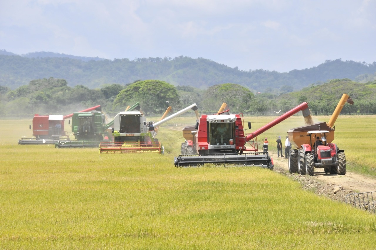 Agricultura