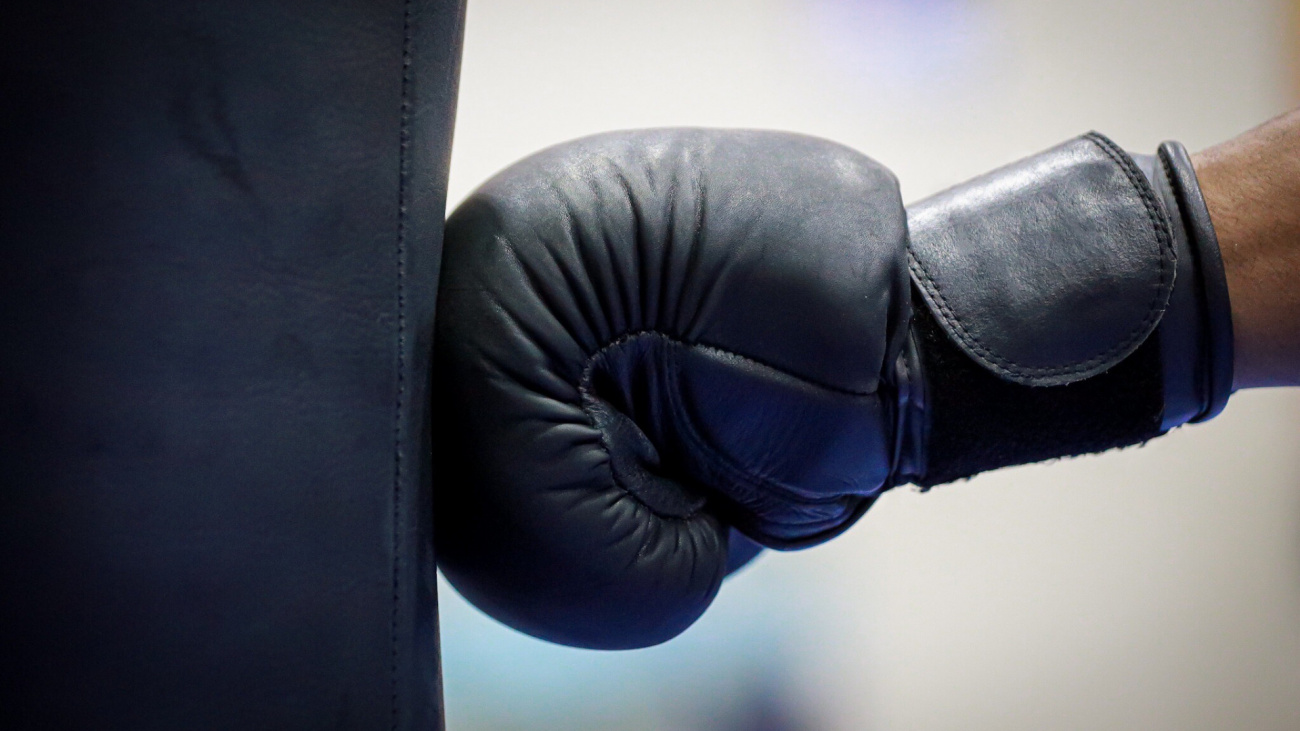 13363 1636637026 large 1