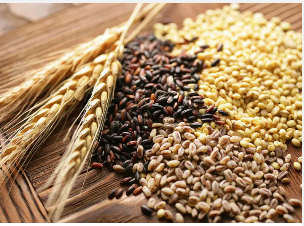 Screenshot 2022 07 22T103903.617