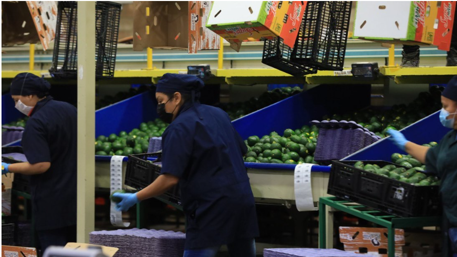 Screenshot 2022 07 29T113221.917