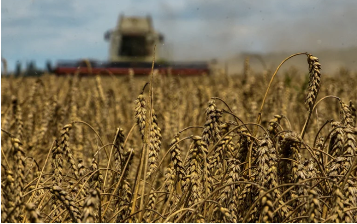 Screenshot 2022 08 17T113444.706