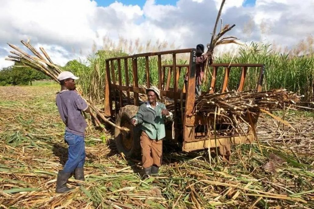 WhatsApp Image 2022 09 13 at 5.22.52 PM