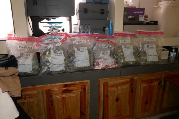 013018afcf84fd53ed1be7bac0415c88 L