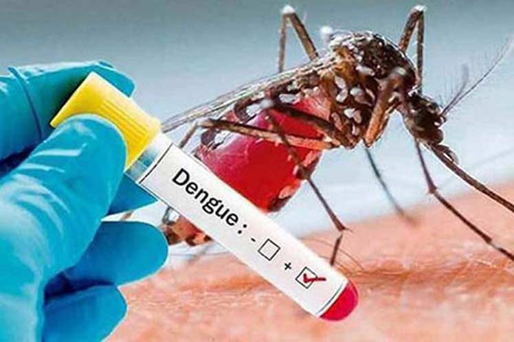 dengue 1