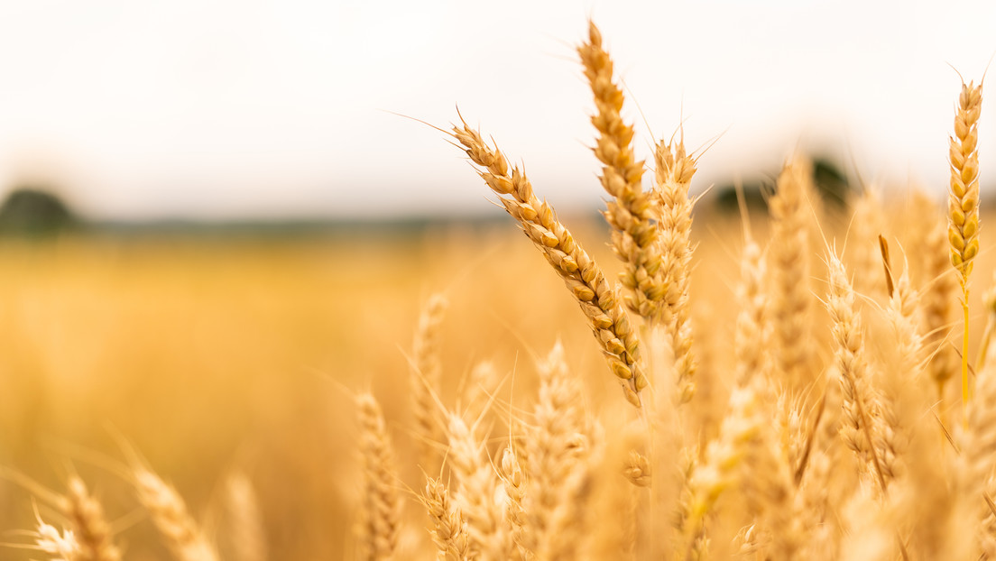 63aebec259bf5b050228c383