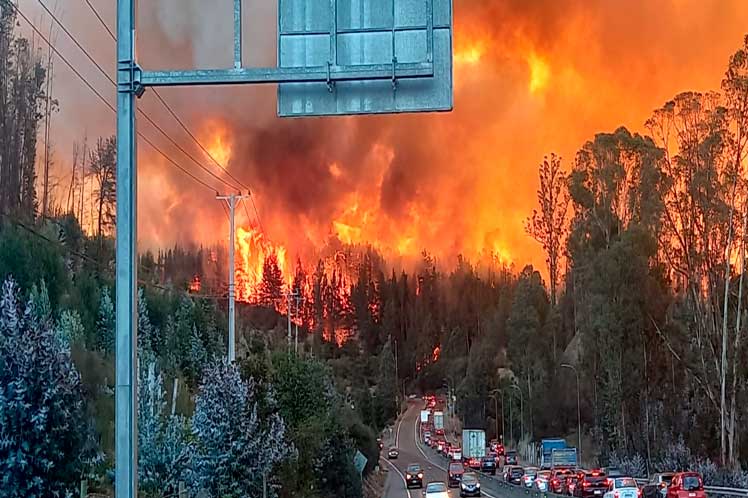 Chile incendio forestal