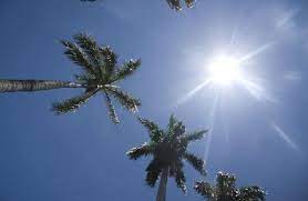 descarga 2022 12 10T091652.473