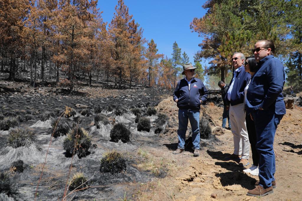 Area afectada en Constanza