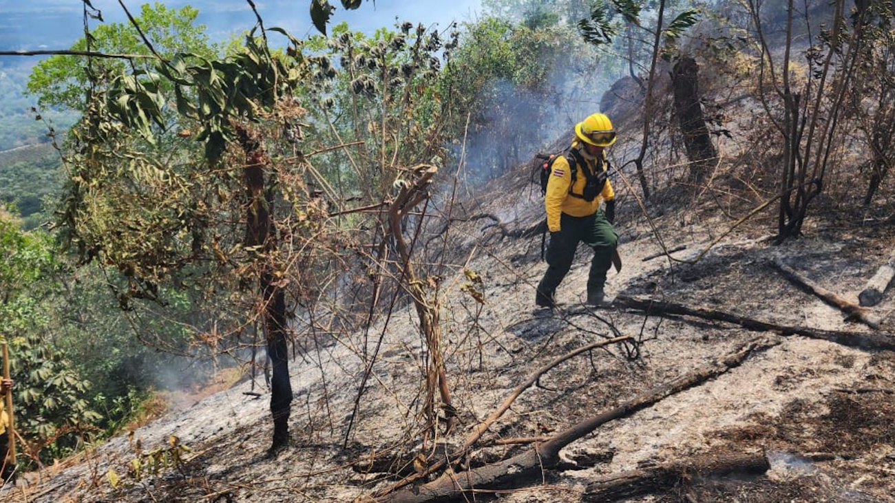 Foto 1. Medio Ambiente tiene 11 incendios bajo control.