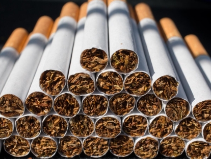 230203114015 tabaco full 169