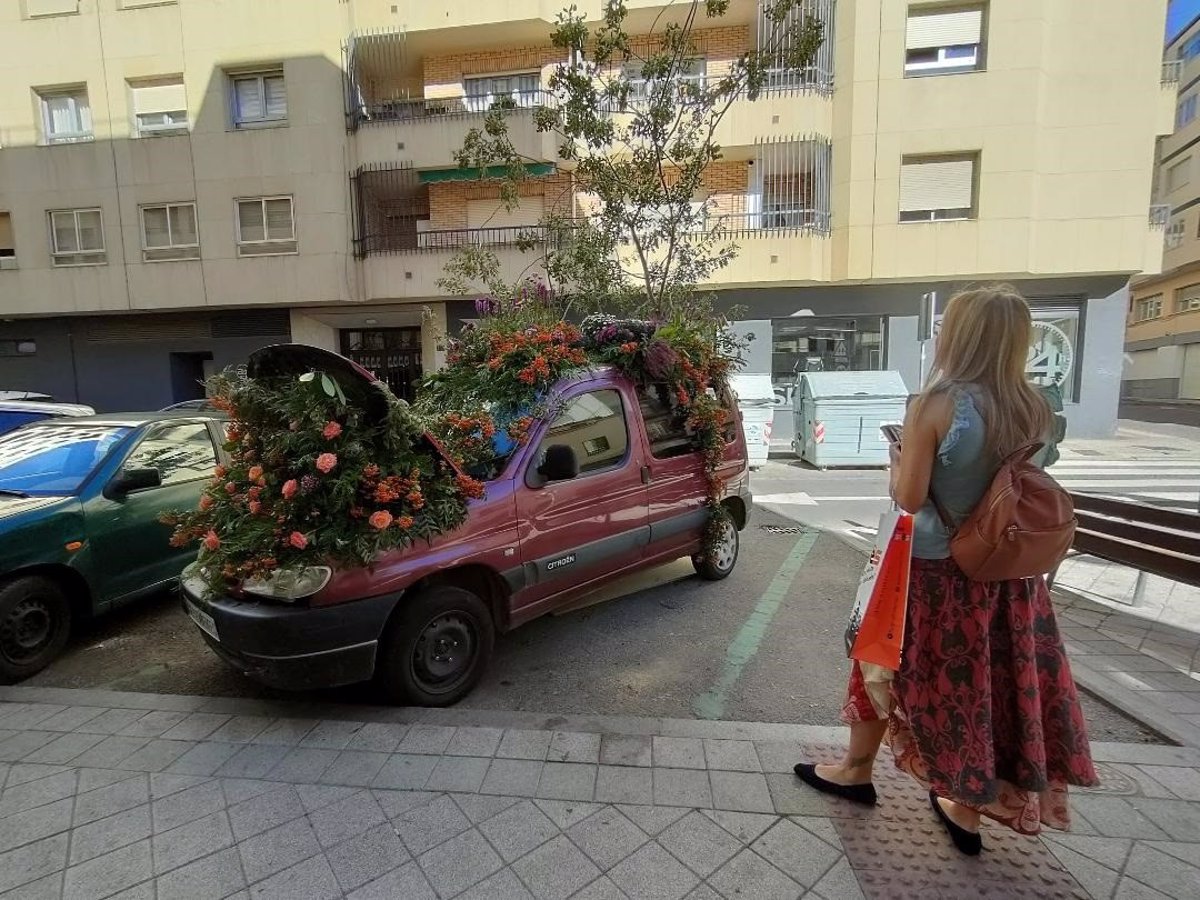 caruri 2981.png