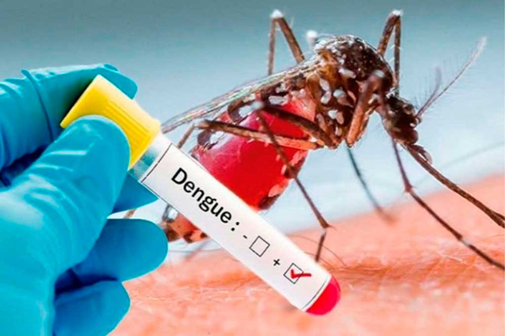 Dengue