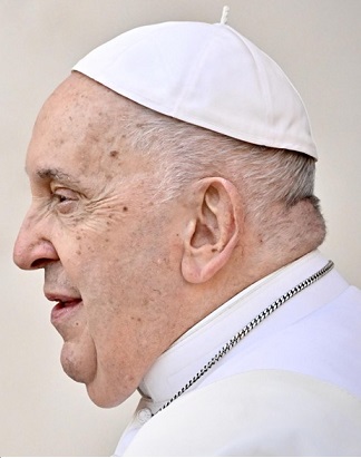 Pope Francis' general audience in St. Peter's Square