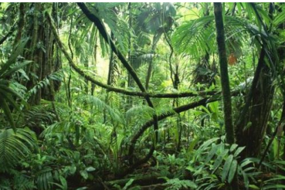 Screenshot 2023 11 14T112628.475