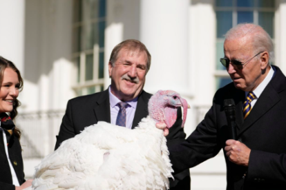 Screenshot 2023 11 23T093433.428