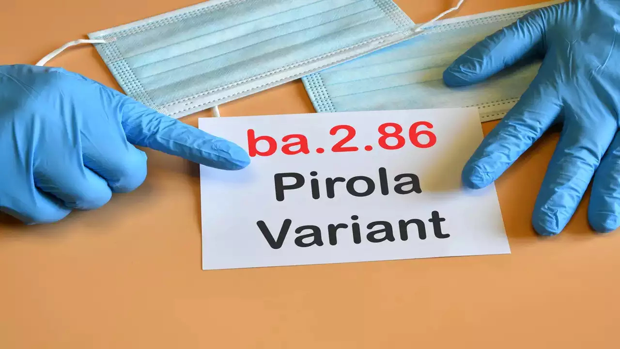 caruri 2271.png
