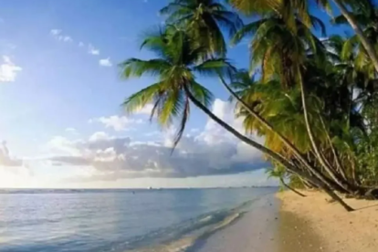 Screenshot 2024 01 06T092519.689