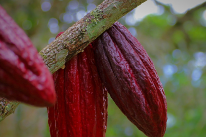 Screenshot 2024 02 10T171103.348