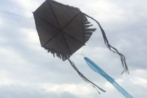 caruri 3084.png