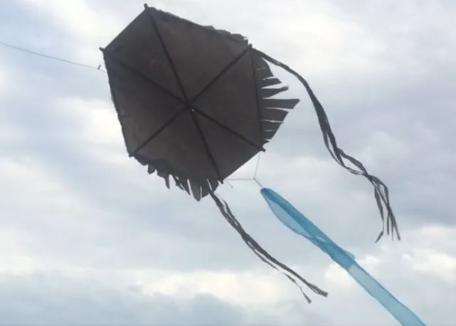caruri 3084.png