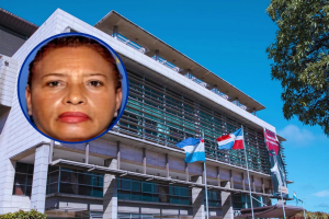 caruri 5491.png