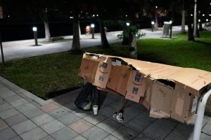 caruri 1232.png