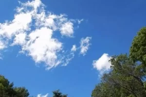 caruri 3479.png