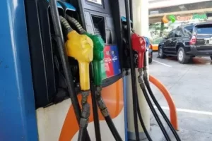 caruri 3906.png