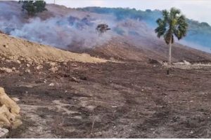 2024 06 389058058.png