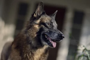 2024 06 391498791.png