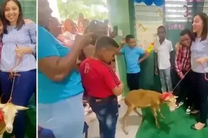 2024 06 401475838.png