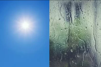8189274886.png