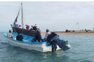 Screenshot 2024 06 24T151032.908