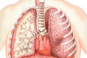 2024 07 415726890.png