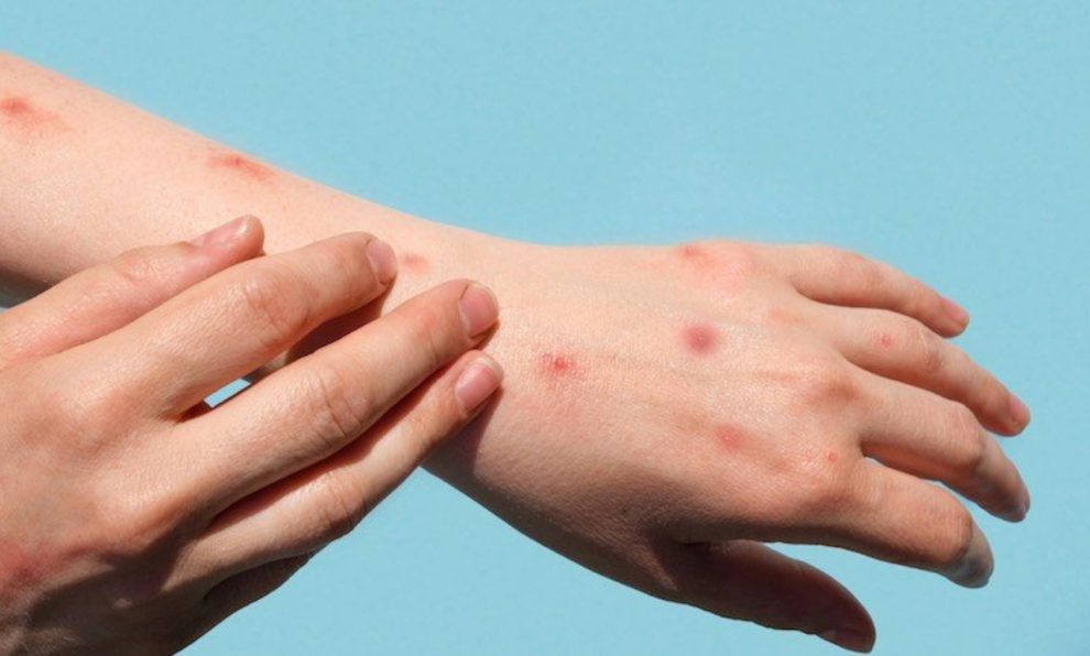 2024 08 461724301.png