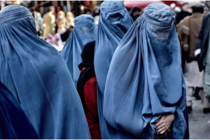 Screenshot 2024 08 23T115532.278