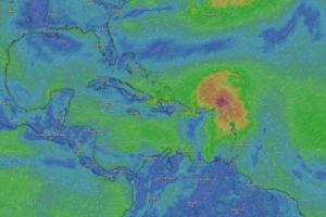 enrnesto focus 0 0 375 240