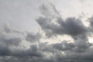 2024 09 478265229.png