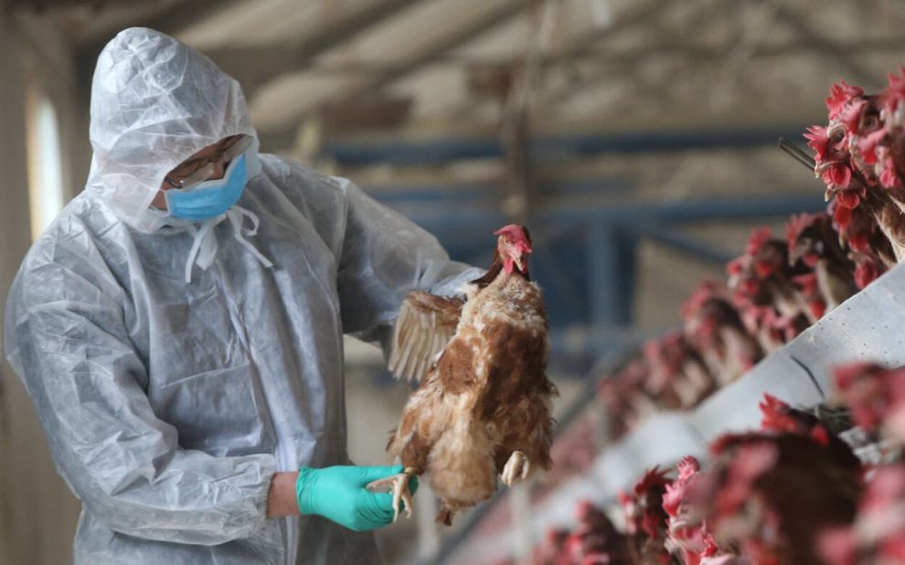 2024 09 478367788 1.png