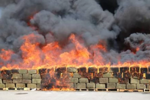 2024 09 483831941.png