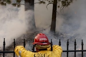 2024 09 491690010.png