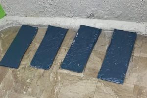 2024 10 502286868.png