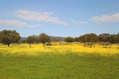 2024 10 503685632.png