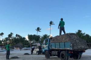 2024 10 505714689.png