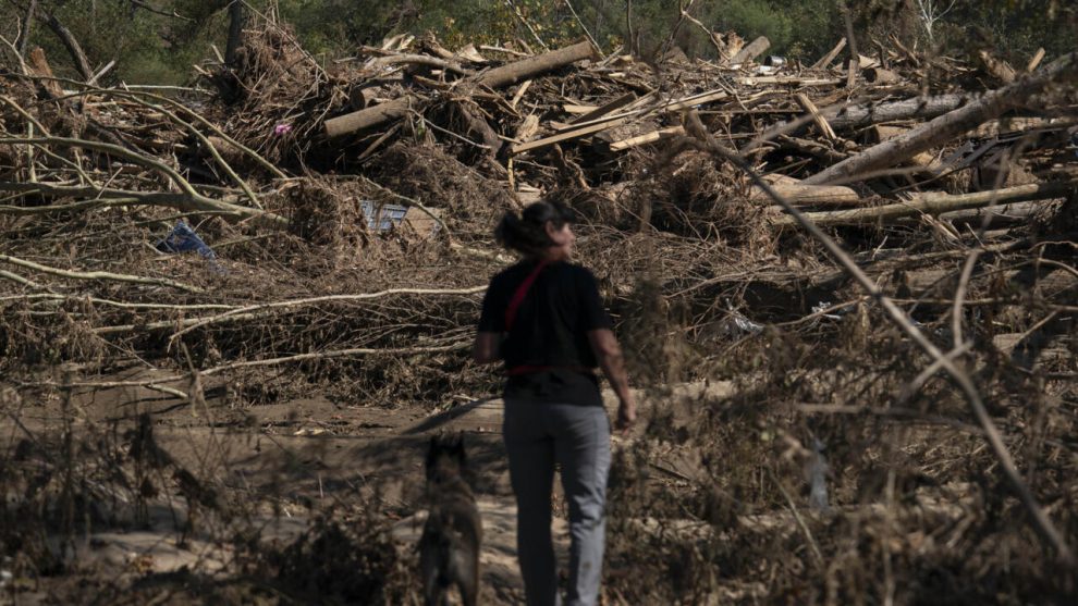 2024 10 507180077.png