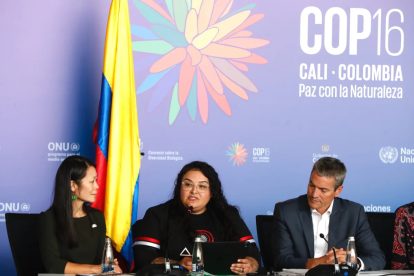 2024 10 528955565.png