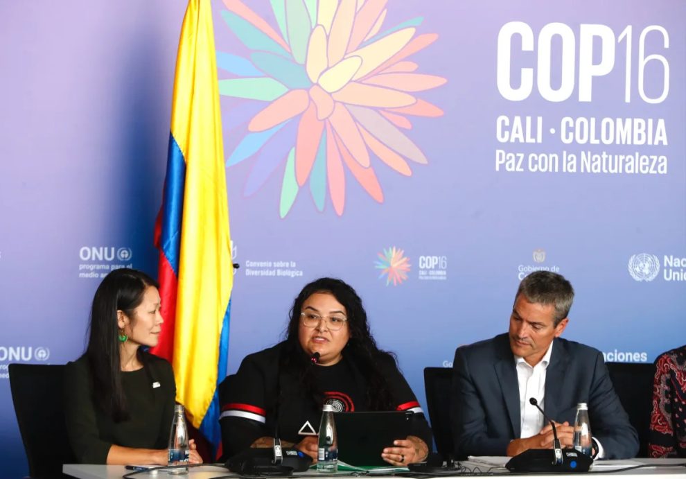 2024 10 528955565.png