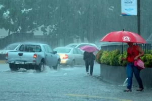 2024 10 531030064.png