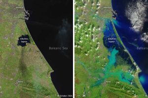 2024 10 531971321.png